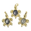 Natural Labradorite & Brass Pendants KK-F887-01G-05-1