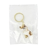 Iron Plastic Keychains KEYC-FZC0001-001A-G-8