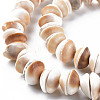 Natural Shell Beads Strands SSHEL-N034-100-3