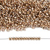 TOHO 3/0 Round Beads SEED-TR03-0989-4