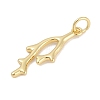 Brass Pendants KK-Q028-66G-2