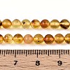 Natural Amber Beads Strands G-K387-D02-03-4