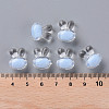 Transparent Acrylic Beads TACR-S152-05A-SS2113-4