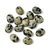 Natural Dalmatian Jasper Cabochons G-A094-01B-51-1