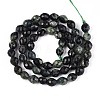 Natural Kambaba Jasper Beads Strands G-T142-86-2