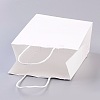 Pure Color Kraft Paper Bags LS-AJEW-G020-C-03-4