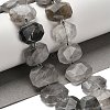 Natural Cloudy Quartz Beads Strands G-H078-B17-01-2