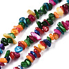 Natural Freshwater Shell Beads Strands SHEL-S278-070D-1