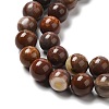 Natural Gemstone Beads Strands G-A215-01C-3