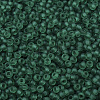 MIYUKI Round Rocailles Beads SEED-X0054-RR0147F-3