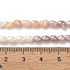 Natural Cultured Freshwater Pearl Beads Strands PEAR-C004-14A-6