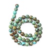 Natural HuBei Turquoise Beads GSR8mmC111-6