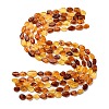 Gradient Color Natural Amber Beads Strands G-F803-E01-01-3