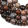 Natural Petrified Wood Round Bead Strands G-F266-08-8mm-7
