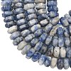 Natural Blue Spot Jasper Beads Strands G-L654-I06-01-4