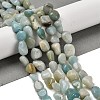 Natural Flower Amazonite Beads Strands G-P497-01E-31-2