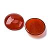 Natural Agate Cabochons G-K348-08B-03-3
