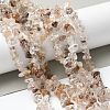 Natural Rutilated Quartz Beads Strands X-G-M205-96-5