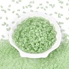 FGB Frosted Transparent Glass Seed Beads SEED-N013-06A-08-2
