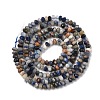 Natural Sodalite Beads Strands G-G189-C02-02-3