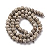 Natural Conch Fossil Beads Strands G-K380-A41-01-3