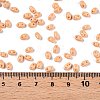 Baking Paint Glass Seed Beads SEED-T006-03E-4