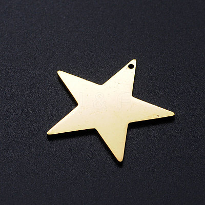 201 Stainless Steel Charms STAS-T049-T688-2-1
