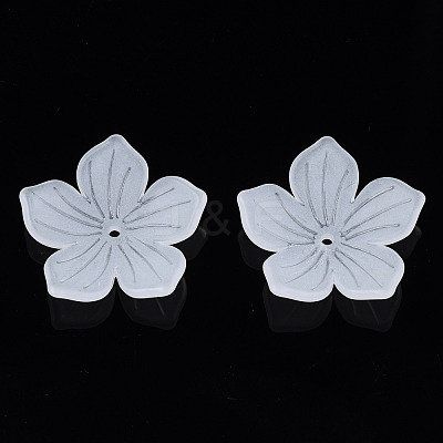 Transparent Acrylic Beads FACR-N005-004-1