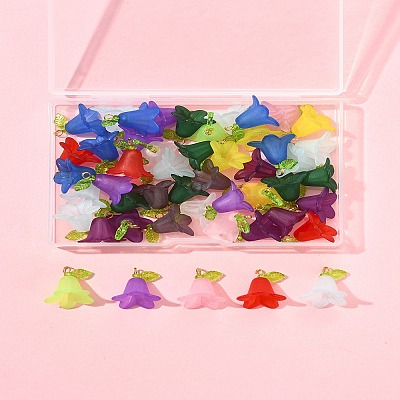 50Pcs Transparent Acrylic Pendants PALLOY-FS00043-05-1