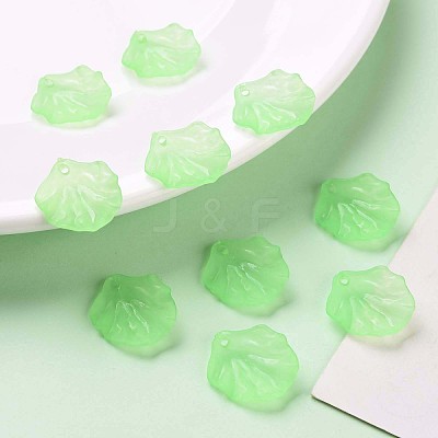Transparent Frosted Acrylic Pendants MACR-S371-01A-733-1
