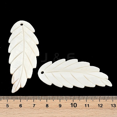 Natural Freshwater Shell Big Pendants SHEL-K006-44-1