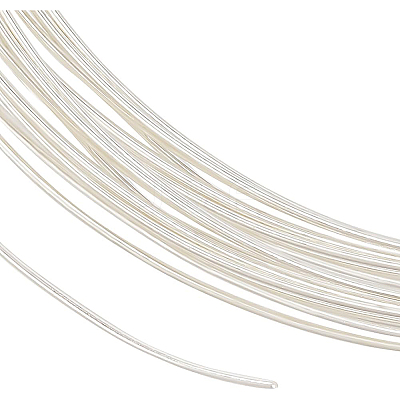 1Pc 999 Fine Silver Wire STER-BC0001-66C-1