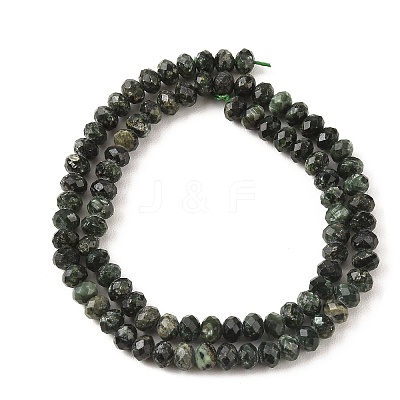 Natural Seraphinite Beads Strands G-K376-E06-4x6mm-1