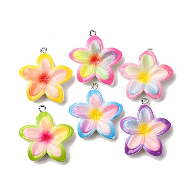 Opaque Resin Pendants RESI-A046-05E-1