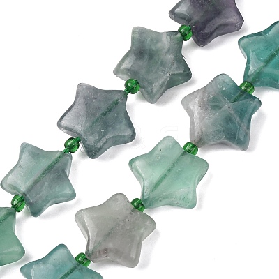 Natural Fluorite Beads Strands G-K359-E14-1
