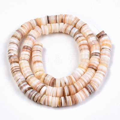 Natural Freshwater Shell Beads Strands SHEL-N003-02-1