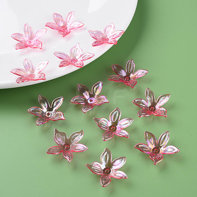 Transparent Acrylic Beads MACR-S373-102-C01-1