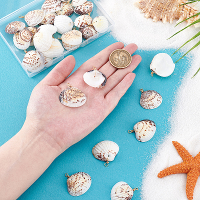 30Pcs Natural Shell Pendants PALLOY-PH01839-1