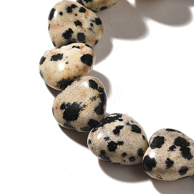 Natural Dalmatian Jasper Beads Strands G-R190-10mm-63-1