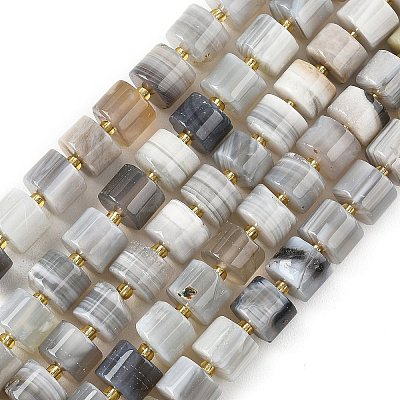 Natural Botswana Agate Beads Strands G-K245-C17-1
