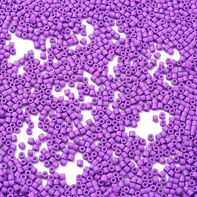 Baking Paint Glass Seed Beads X-SEED-S042-05B-72-1
