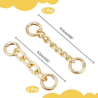 4Pcs 2 Styles Alloy Link Bag Strap Extender FIND-UN0003-10-1