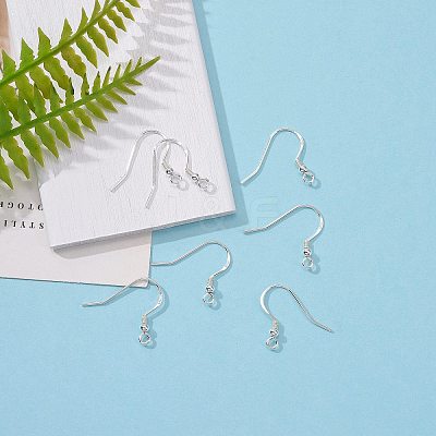 925 Sterling Silver Earring Hooks STER-K167-050S-1