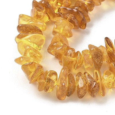 Natural Amber Beads Strands G-L095-D01-02-1
