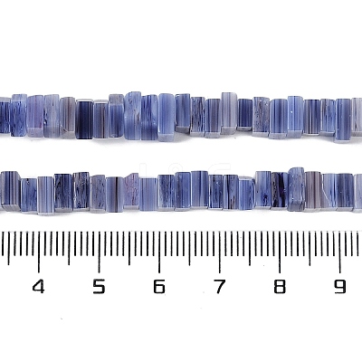 Handmade Lampwork Beads Strands LAMP-Q037-02B-12-1