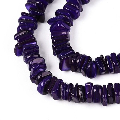 Natural Freshwater Shell Beads Strands SHEL-T020-40B-1