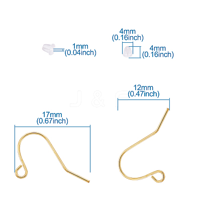 Iron Earring Hooks IFIN-TA0001-21-1