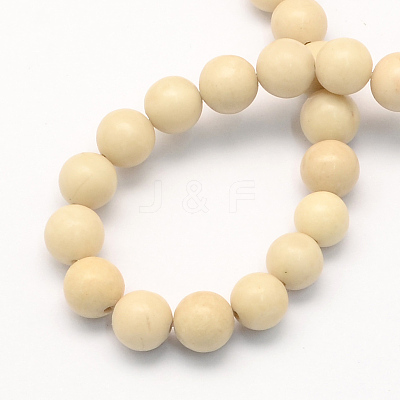 Natural Fossil Round Beads Strands G-S171-10mm-1