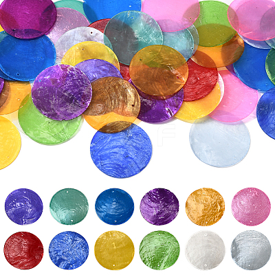 48Pcs 12 Colors Natural Shell Connector Charms SHEL-SC0001-72-1