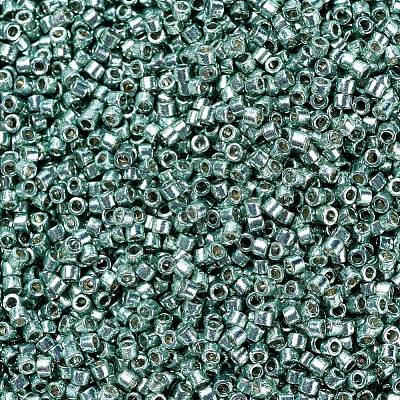 MIYUKI Delica Beads X-SEED-J020-DB1846-1